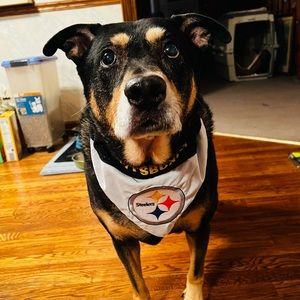 Meet your Posher, Christopher